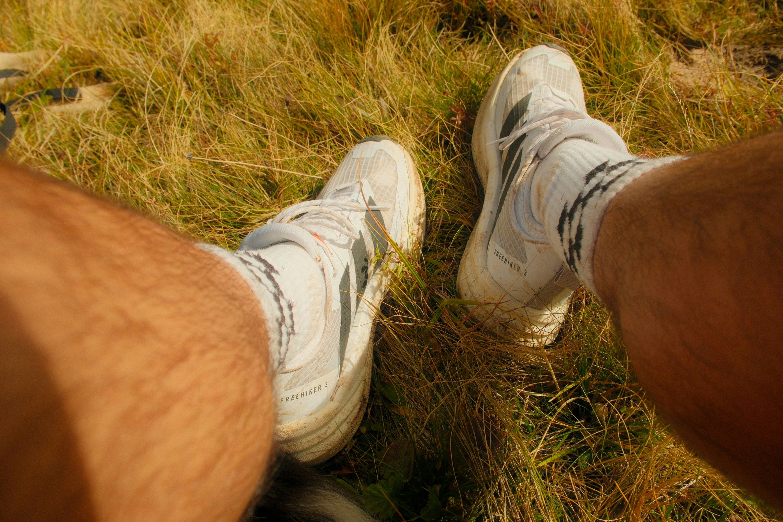 A persons legs and feet wearing white Freehiker 3 hiking shoes and white socks while standing in tall, dry grass.